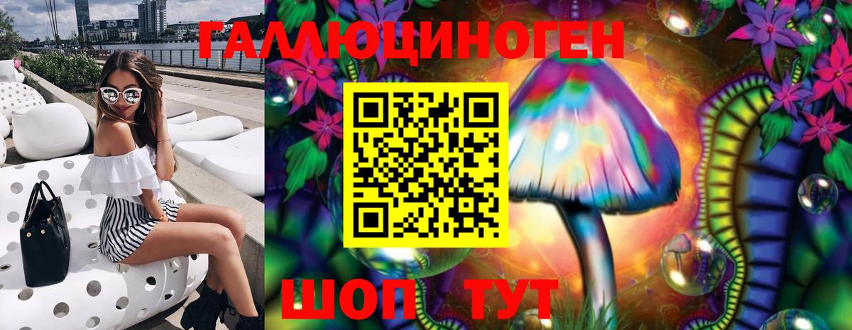 Новозыбков  Псилоцибиновые грибы мухоморы  Вход с VPN 